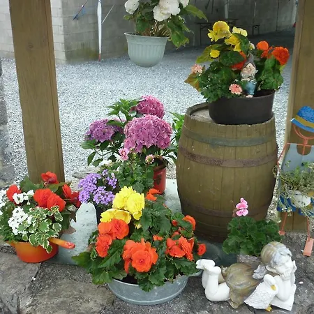Pensionat Ferme De La Galoperie Aublain